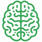 Стэнфордский тест Бине на быстрый интеллект IQ