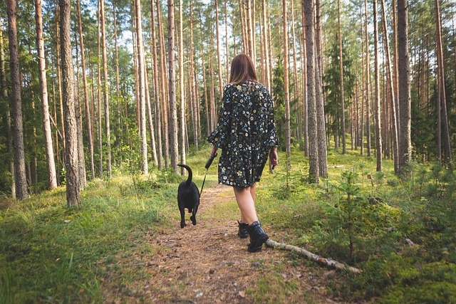 Польза природы для психического здоровья: Как время, проведенное на свежем воздухе, может улучшить ваше настроение