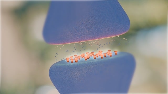 Как предотвратить диабетическую невропатию и управлять ею Как предотвратить диабетическую невропатию и управлять ею